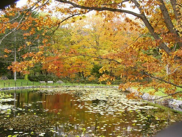 野田生公園(秋)