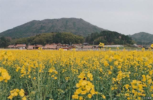 寒曳山