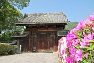 県庁 藩庁門つつじ