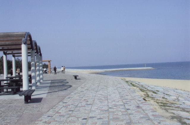 浜の宮海岸潮干狩