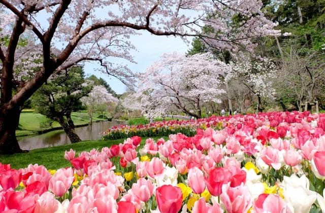 Hamamatsu Flower Park