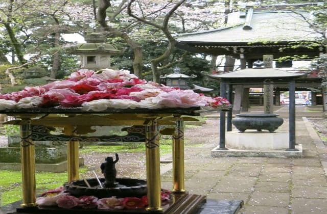 Senryuji Flower Festival