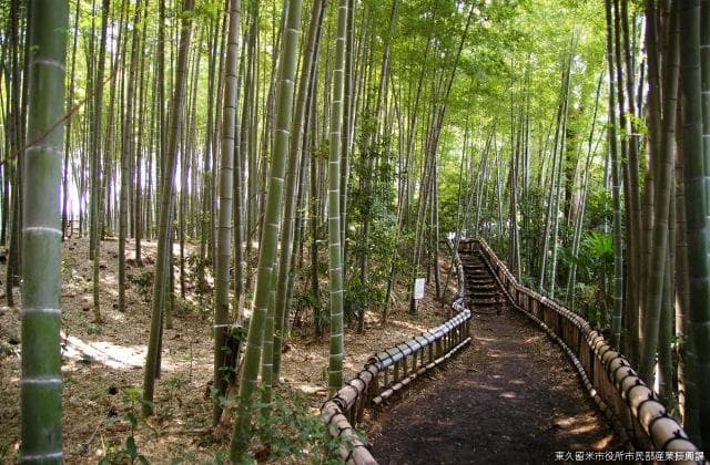 Hiroshi Hayashi Garden