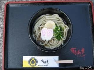 Yacon Udon
