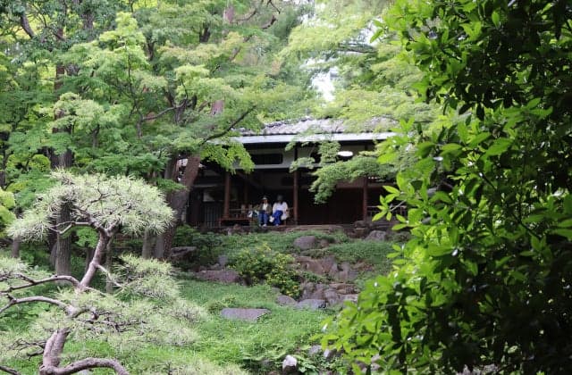 Tonoga Tando Garden Momijitei