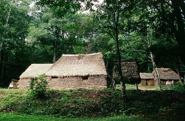 Chise (traditional kotan)