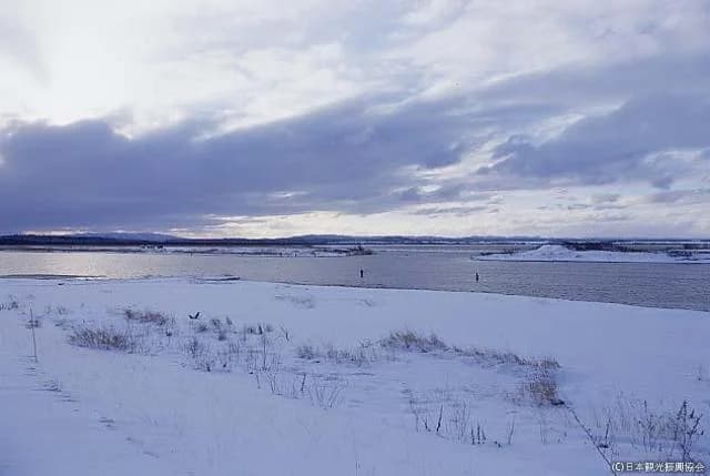 Poro marsh