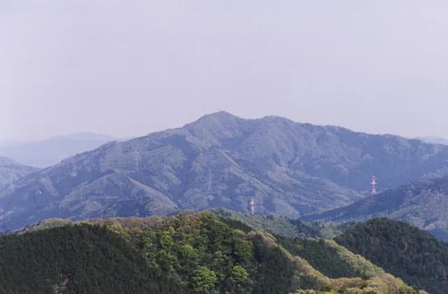 Oniga Castle
