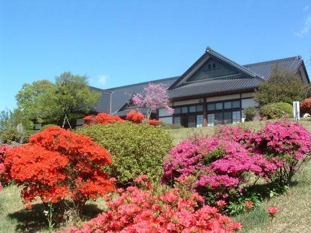 Hometown center and azalea