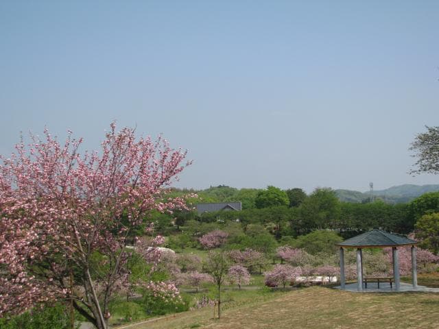 View from a hill
