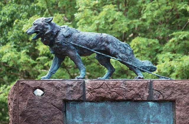 Antarctic Observation Sakhalin Dog Monument