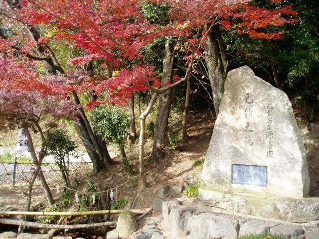 Autumn