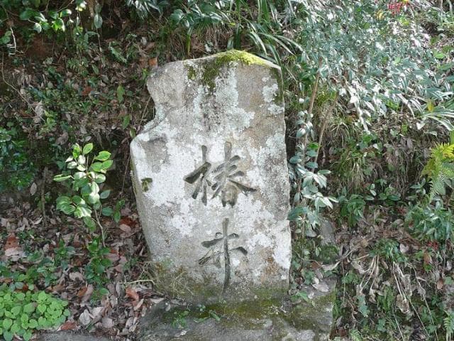 Tsubai Well