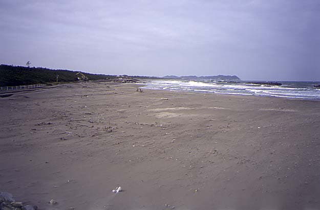 Ohara Beach