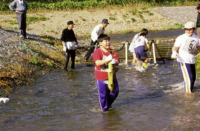 Makomanai River Salmon Observation Square