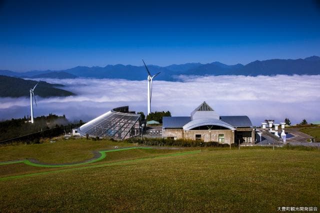 The sea of clouds in the park