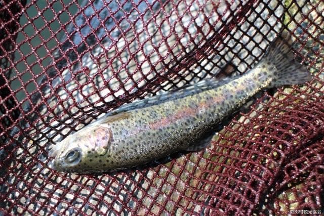 ファミリーパークさらべつ