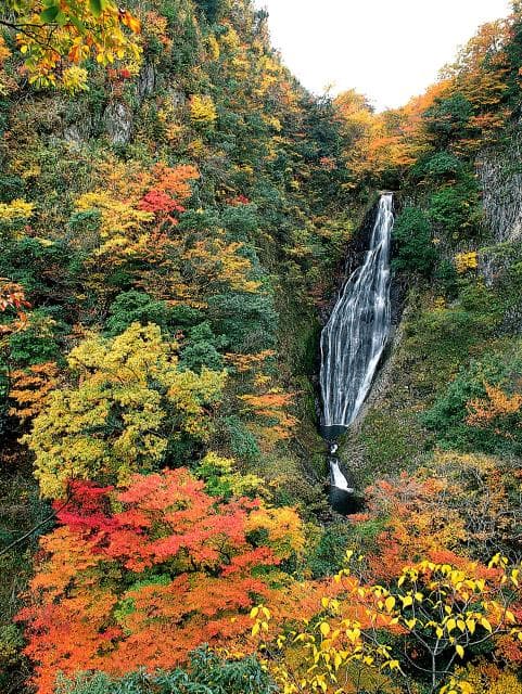 Trout waterfall