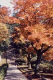 寺家公園