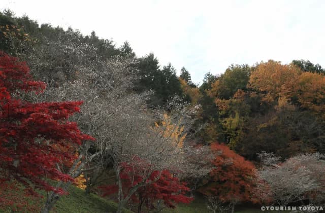 Ohara Fureai Park