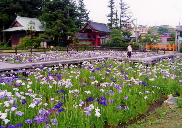 大鏑矢ふれあい公園