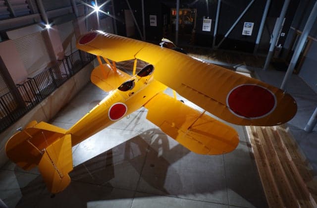 A full-scale model of red dragonflies