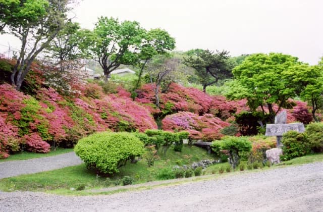 Erimo Town Shakunage Park