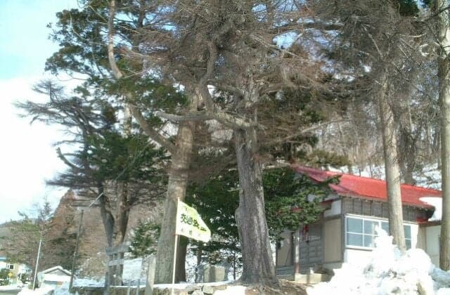 Guimatsu of Kariba Shrine