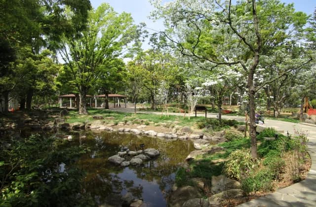 Heiwanomorikoen
