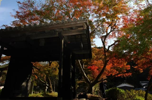 黒門(紅葉の時期)