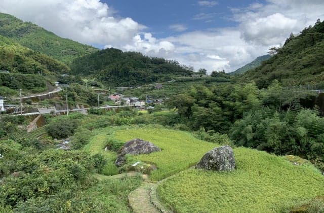 Scenery from the terrace