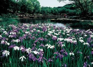 Kitayama Park