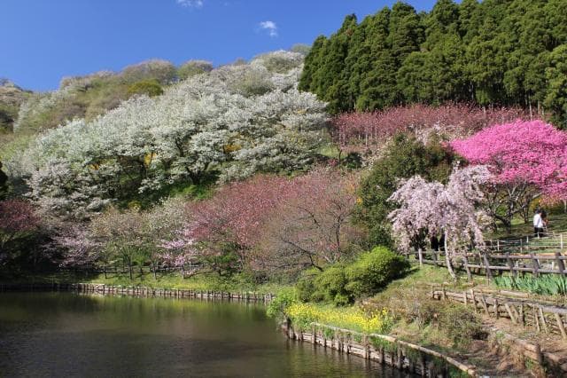 Saimyoji Historical Park