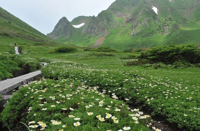秋田駒ケ岳