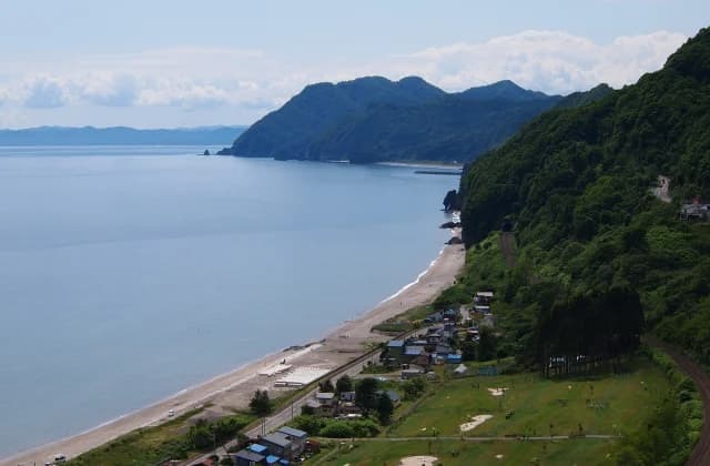 View from the observation tower