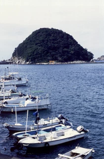 Inazumi Island Plant Community