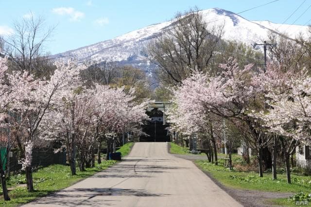 Iwanai-jinja Shrine