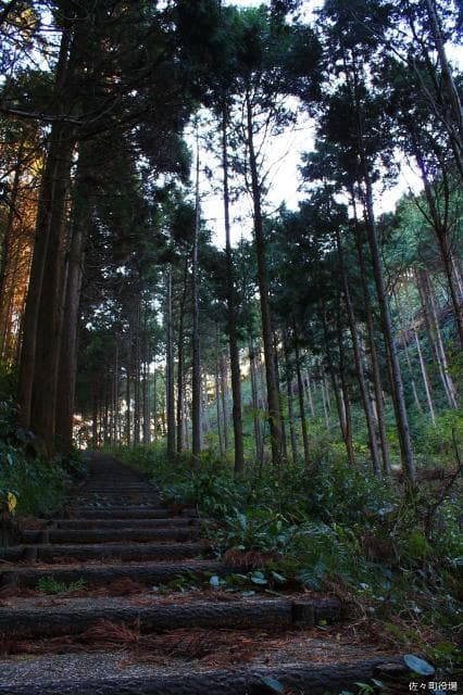 The road to the observatory