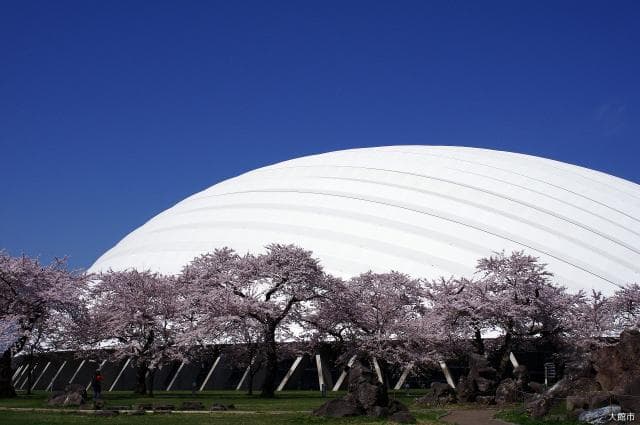 Appearance of Jukai Dome