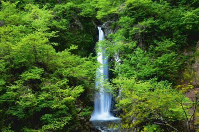 Daisen Falls