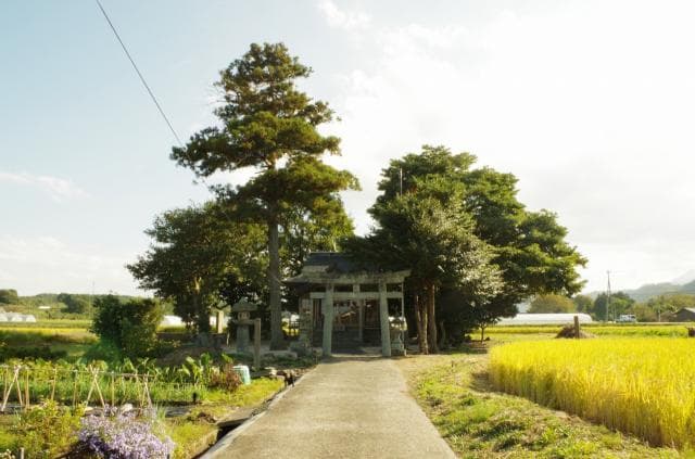 Toyoei-jinja Shrine