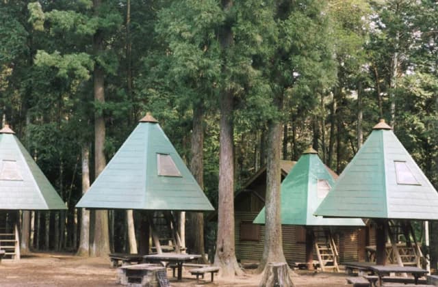 Ryugasaki Forest Park Campsite