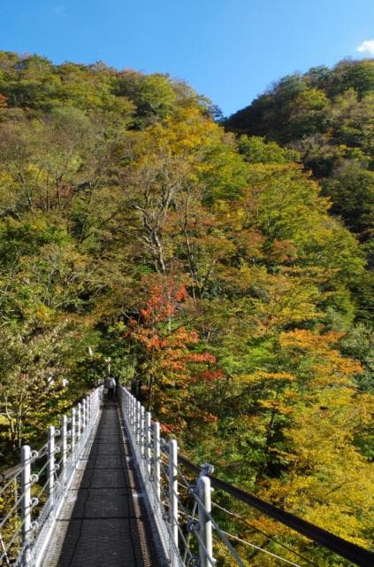 Oyama Waterfall Suspension Bridge