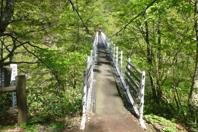 Oyama Waterfall Suspension Bridge
