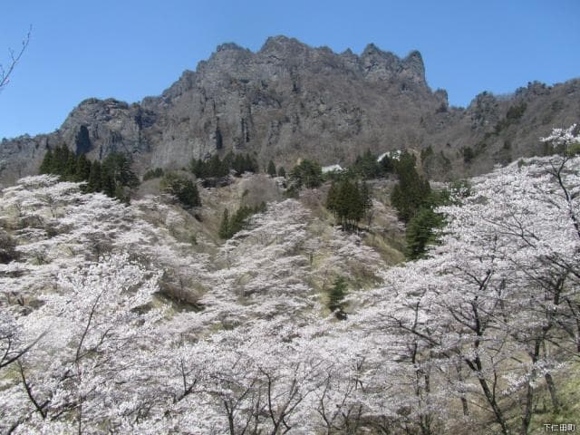 Mount Myogi Sakuranosato