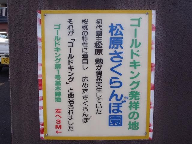 Matsubara Cherry Garden