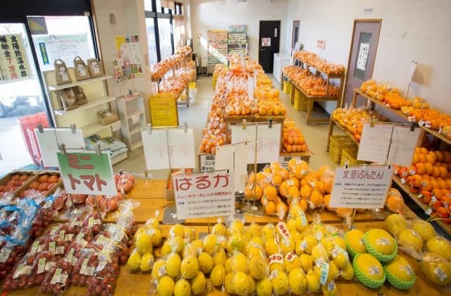 どんどん広場