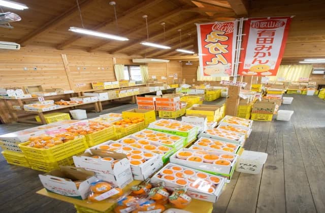 どんどん広場 売り場