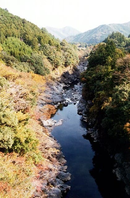 Autumn leaves of the Ryonaikyo Gorge