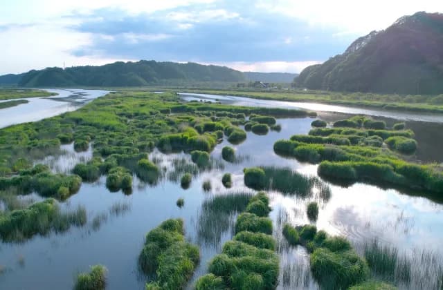 Bekanbeushi Marsh